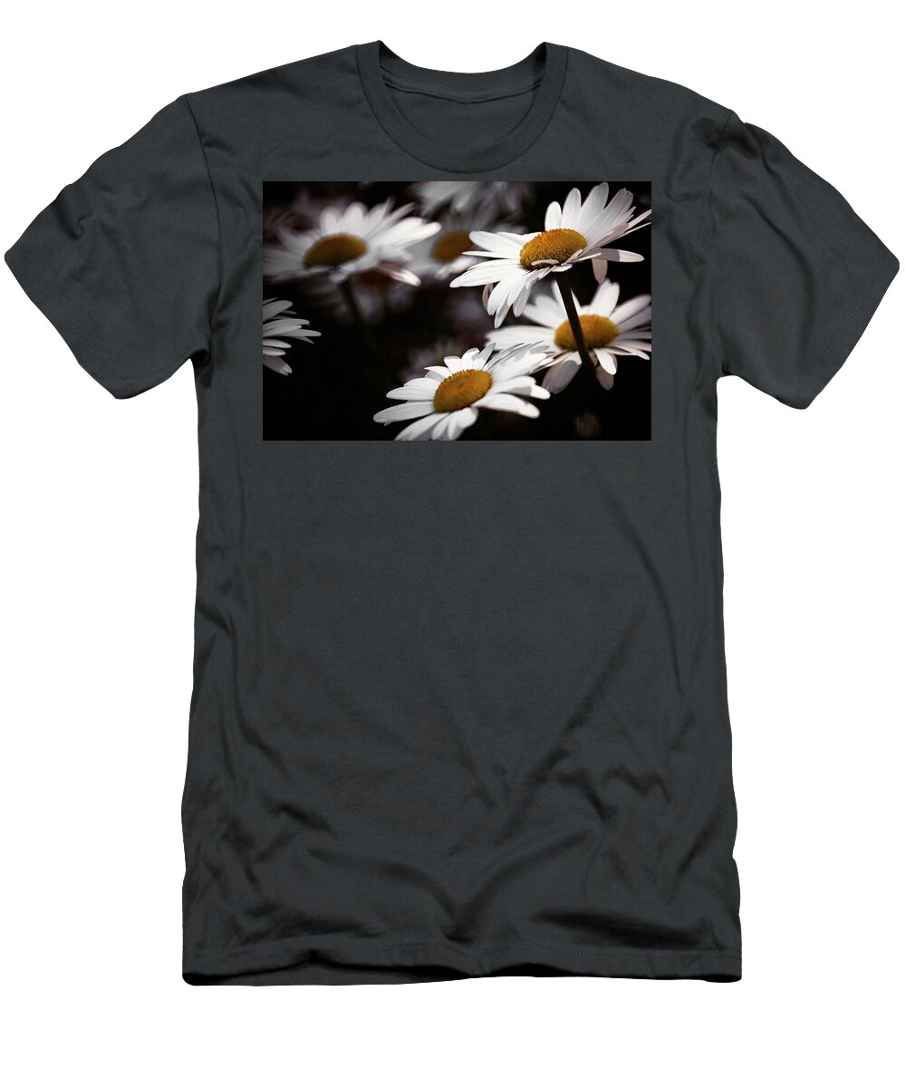 Daiseys T-Shirt featuring the photograph Daisies by RicharD Murphy