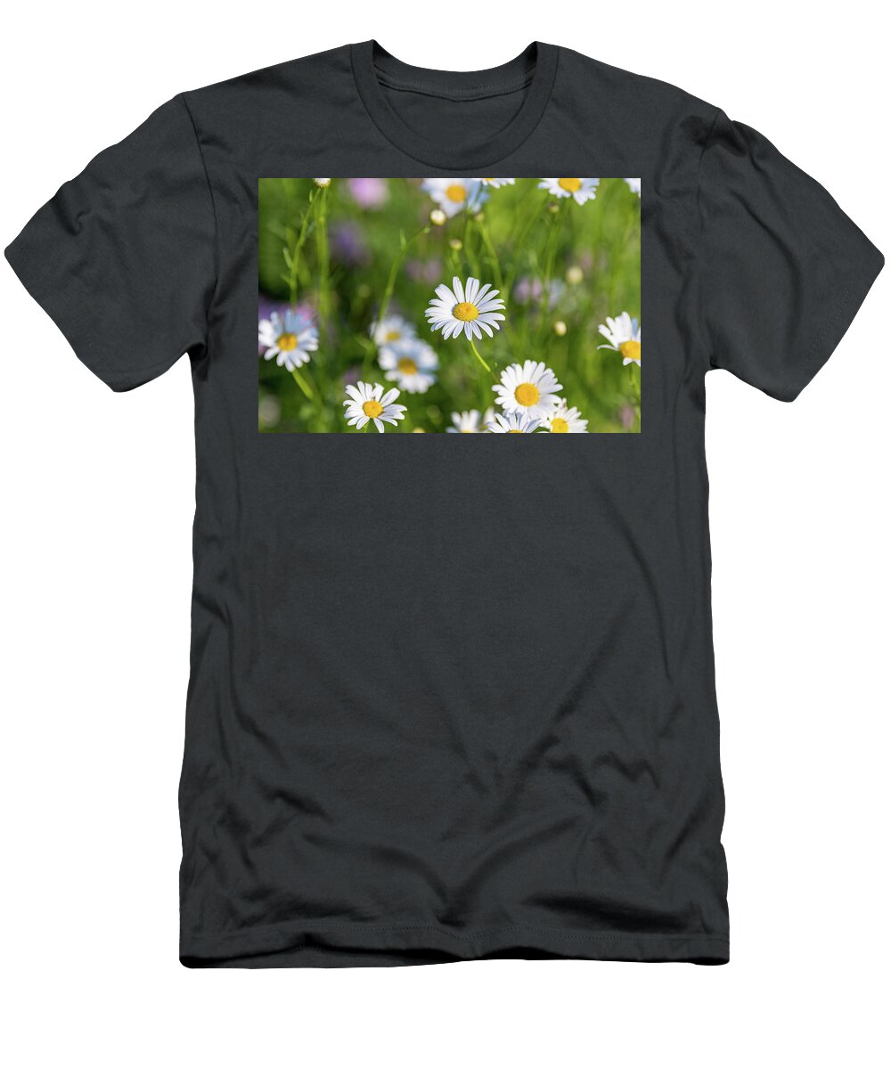 Nature T-Shirt featuring the photograph Daisy Flowers in a Field by Amelia Pearn