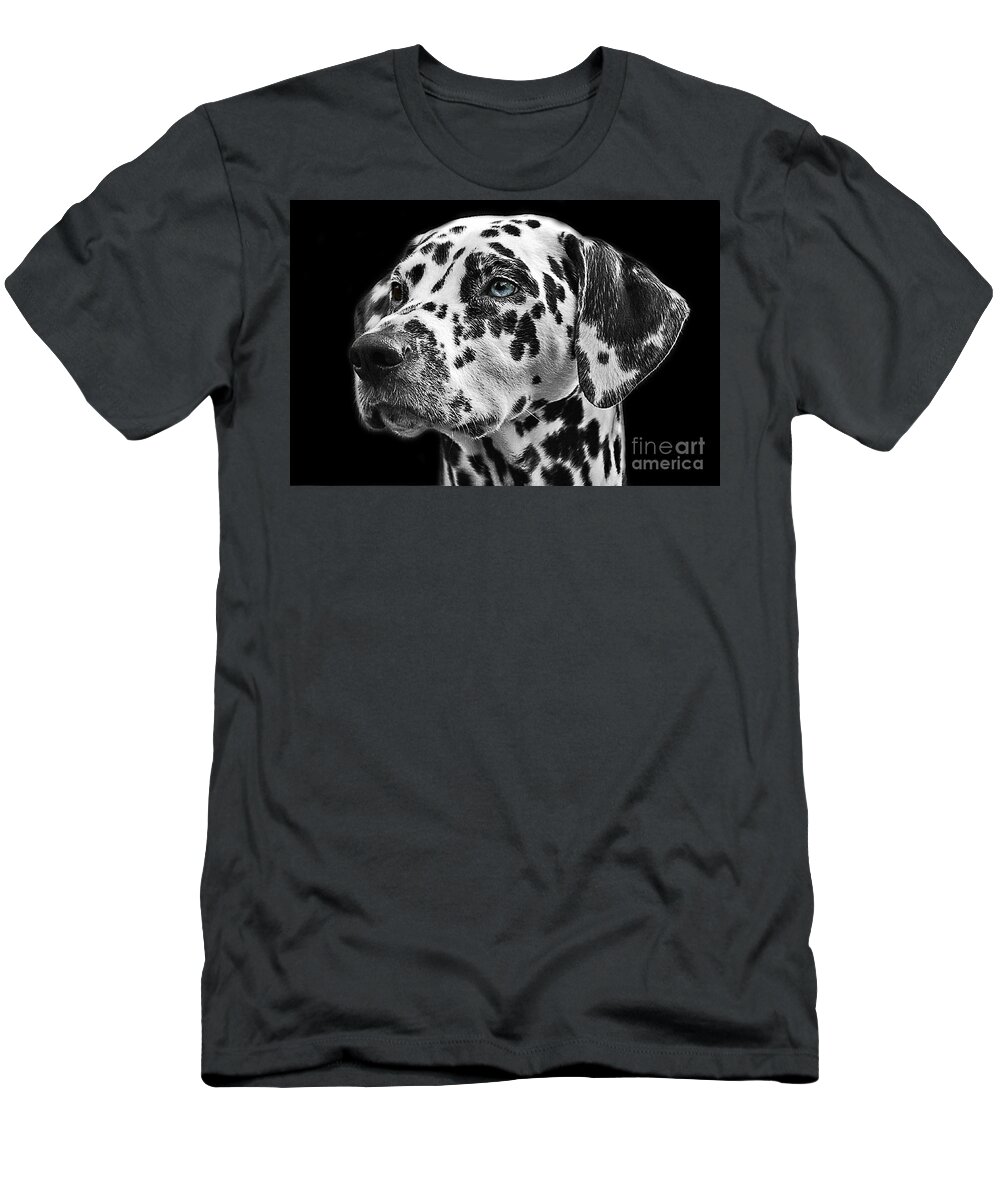 Dalmatian T-Shirt featuring the photograph Dalmatian Dog Animal Head Pet Photography Dog portrait Pictures by Mounir Khalfouf