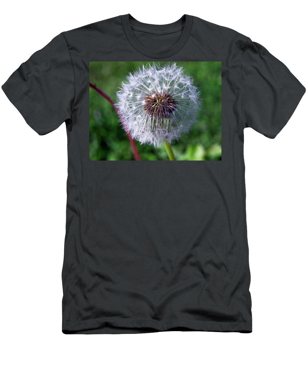Beautiful T-Shirt featuring the photograph Dandelion On Green by David Desautel