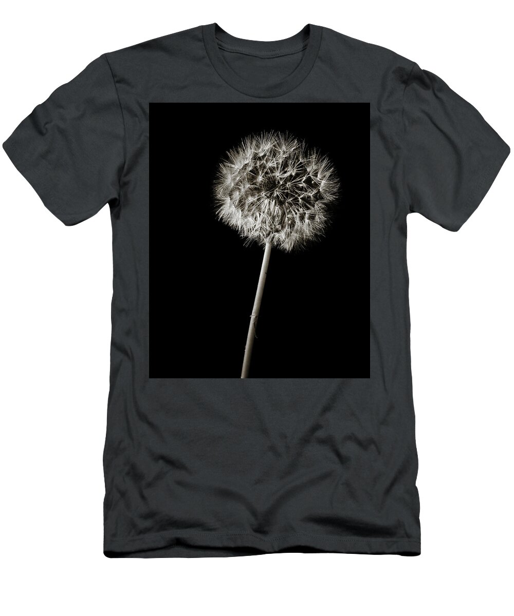 Dandelion T-Shirt featuring the photograph Dandelion Wld Flower 220.2107 by M K Miller