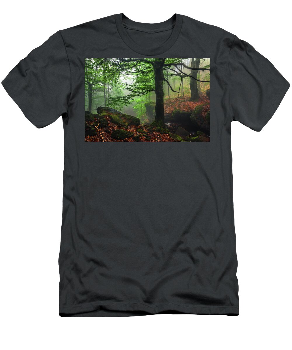 Fog T-Shirt featuring the photograph Dark Forest by Evgeni Dinev
