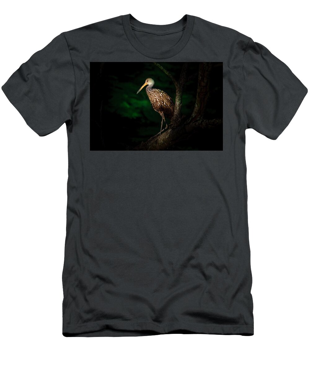 Limpkin T-Shirt featuring the photograph Dark Forest Limpkin by Mark Andrew Thomas