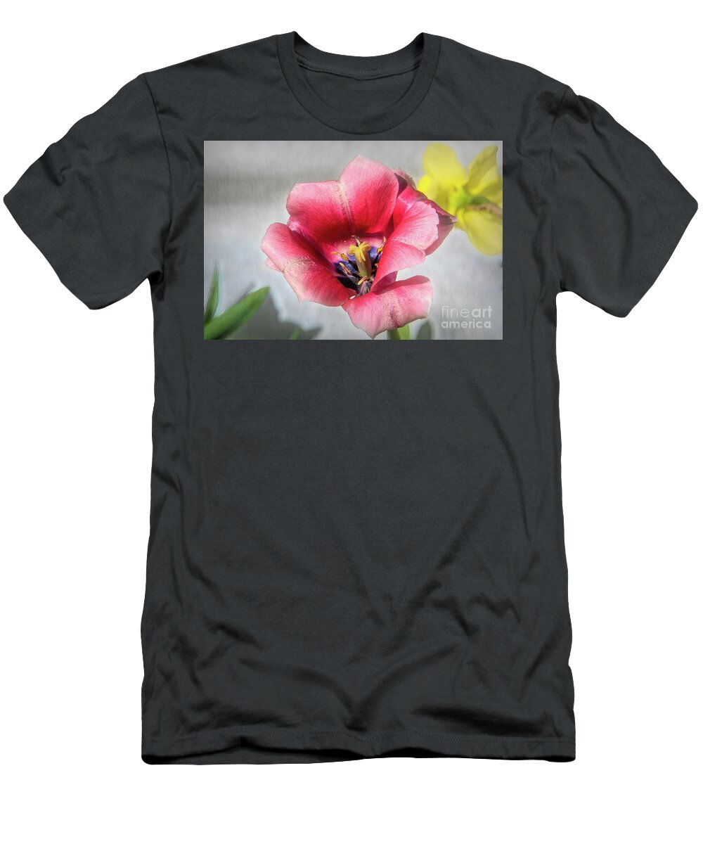 Dark T-Shirt featuring the photograph Dark Pink Darwin Hybrid Tulip and the Daffodil by Diana Mary Sharpton