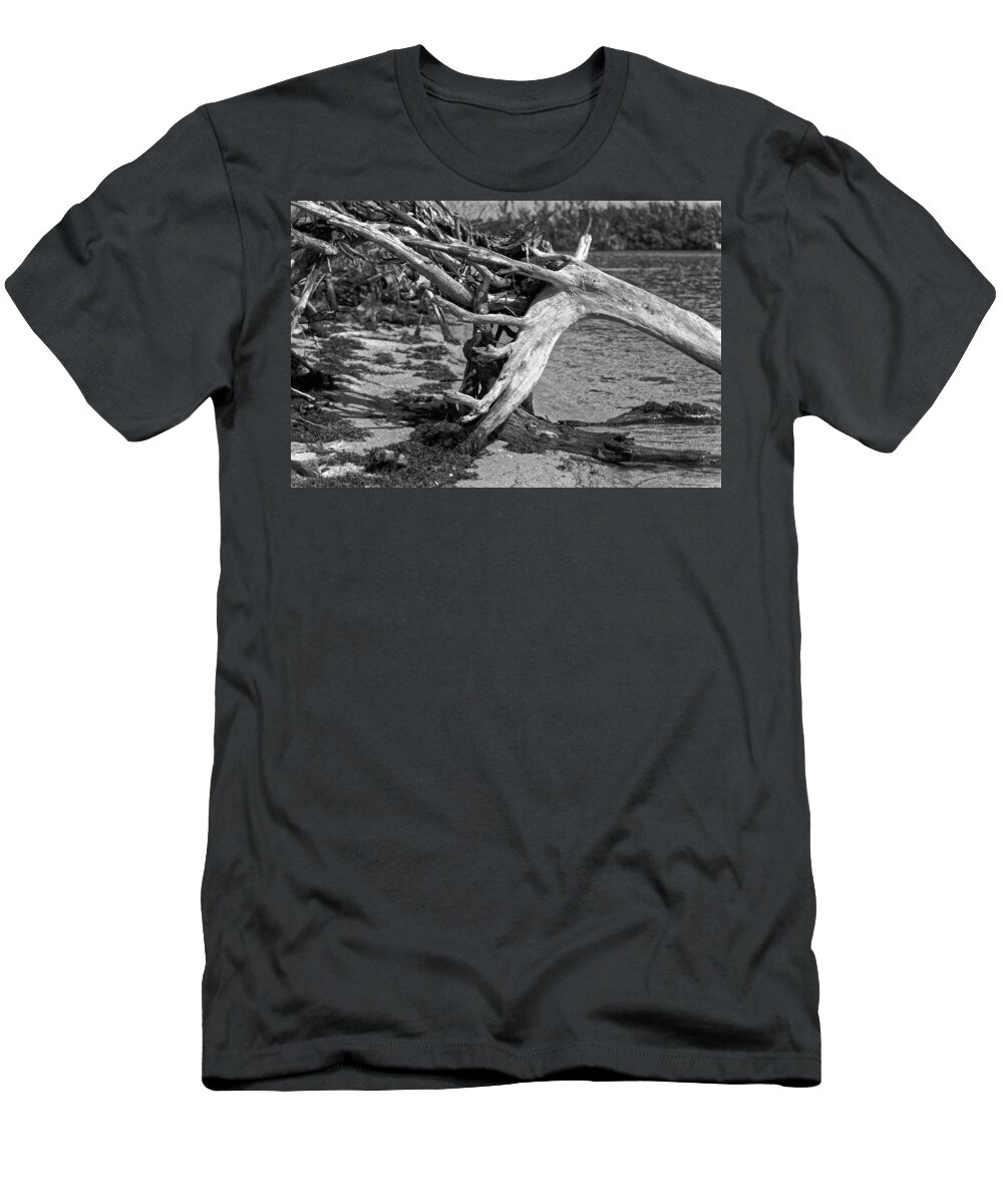 Dead Wood T-Shirt featuring the photograph Deadwood by the Beach by Alan Goldberg