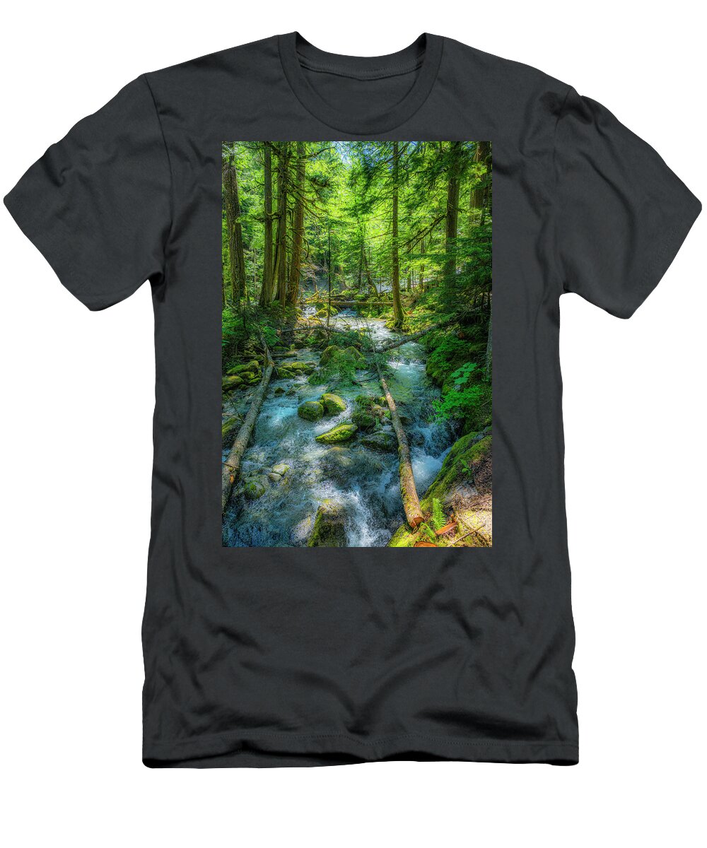 © 2021 Lou Novick All Rights Reversed T-Shirt featuring the photograph Deception Creek by Lou Novick