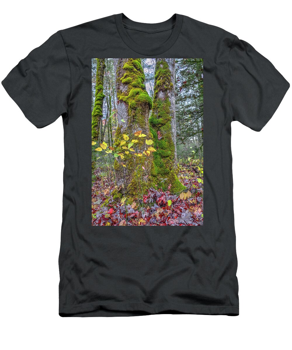 Forest T-Shirt featuring the photograph Deep Forest Autumn by Randall Dill