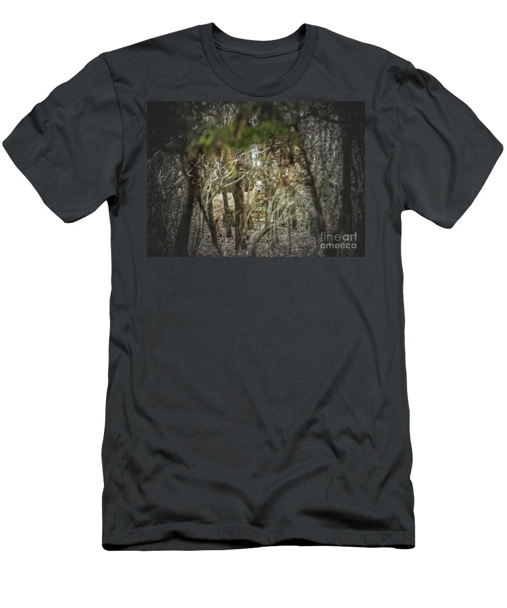 Deer Of The Woods T-Shirt featuring the photograph Deer of the Woods by Troy Stapek