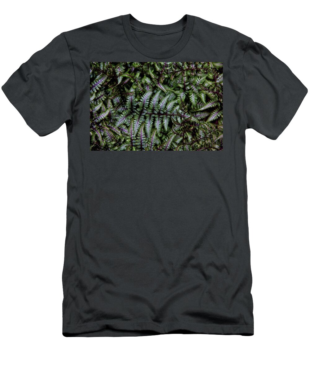 Ferns T-Shirt featuring the photograph Delightful Ferns by Allen Nice-Webb