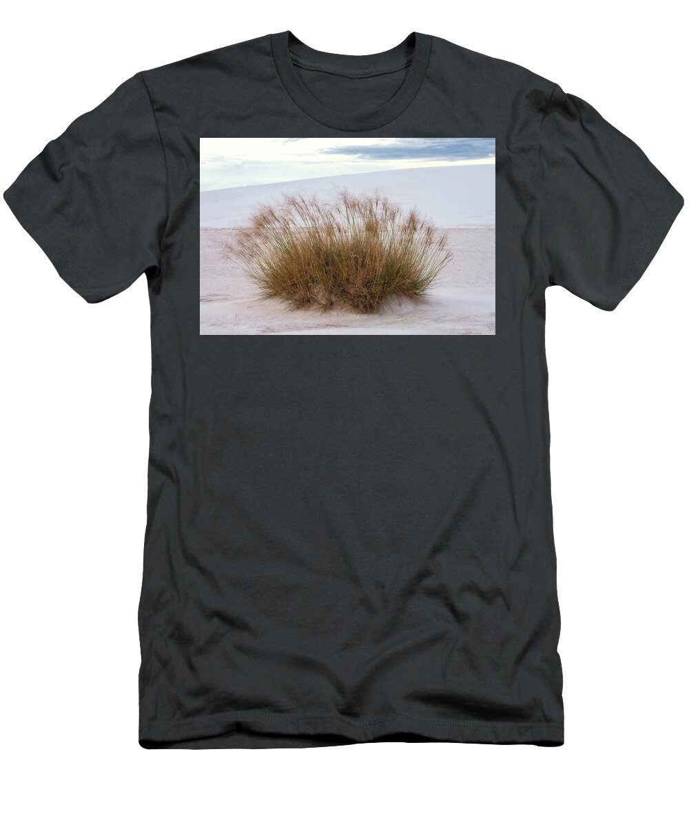Arizona T-Shirt featuring the photograph Desert Dwelling by Rick Furmanek