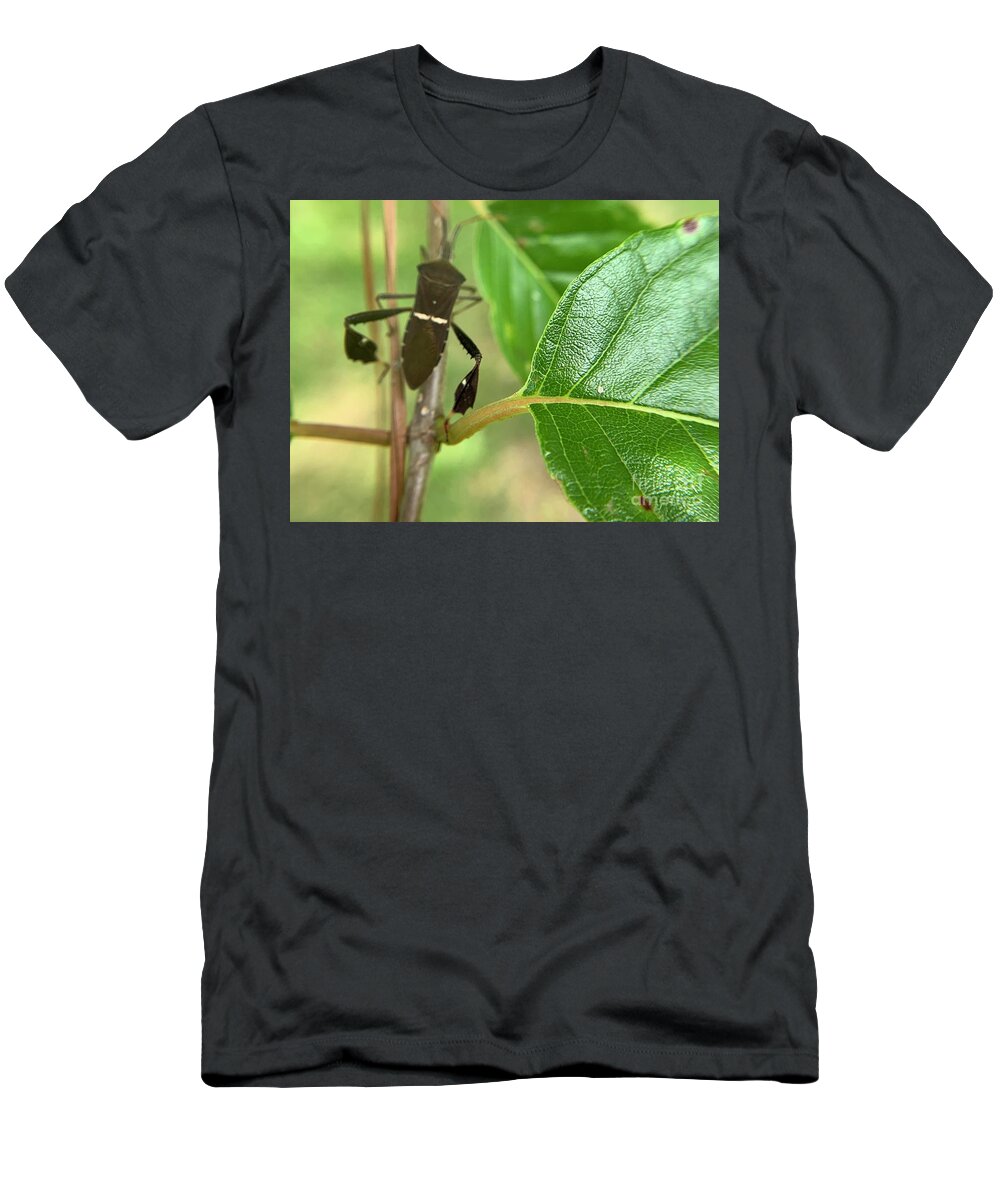 Bug T-Shirt featuring the photograph Destination Bug by Catherine Wilson