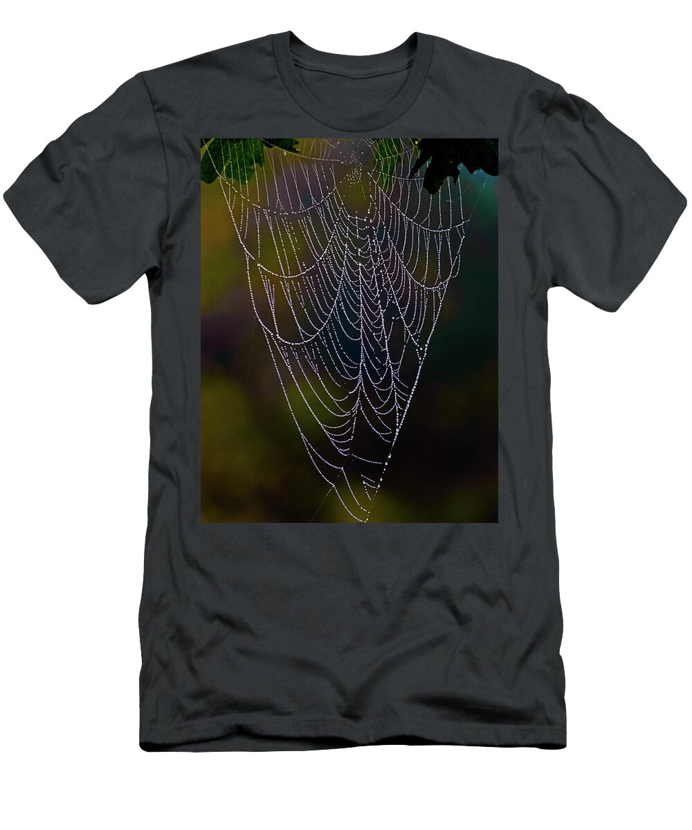 Dew T-Shirt featuring the photograph Dew on a Spider Web - Washington, West Virginia by David Morehead