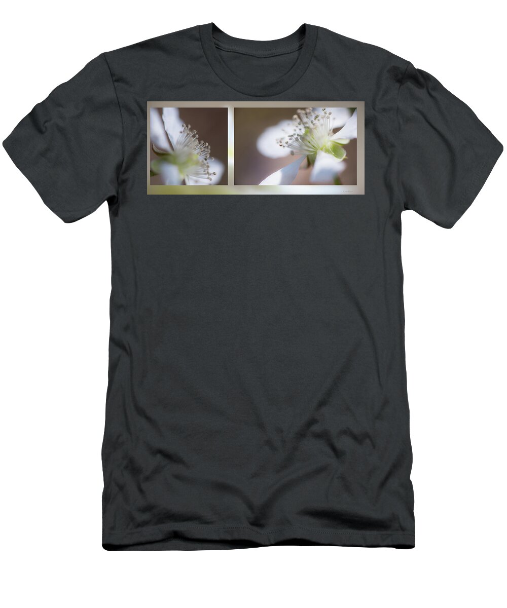 Dewberry T-Shirt featuring the photograph Dewberry by Phil And Karen Rispin