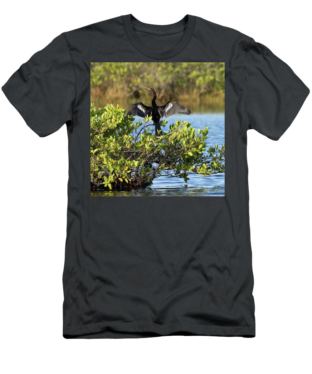 R5-26151 T-Shirt featuring the photograph Directing Traffic by Gordon Elwell