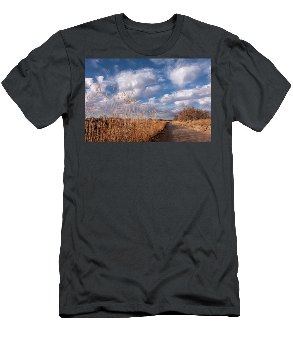 New Mexico T-Shirt featuring the photograph Dirt Road near Abeytas New Mexico by Mary Lee Dereske