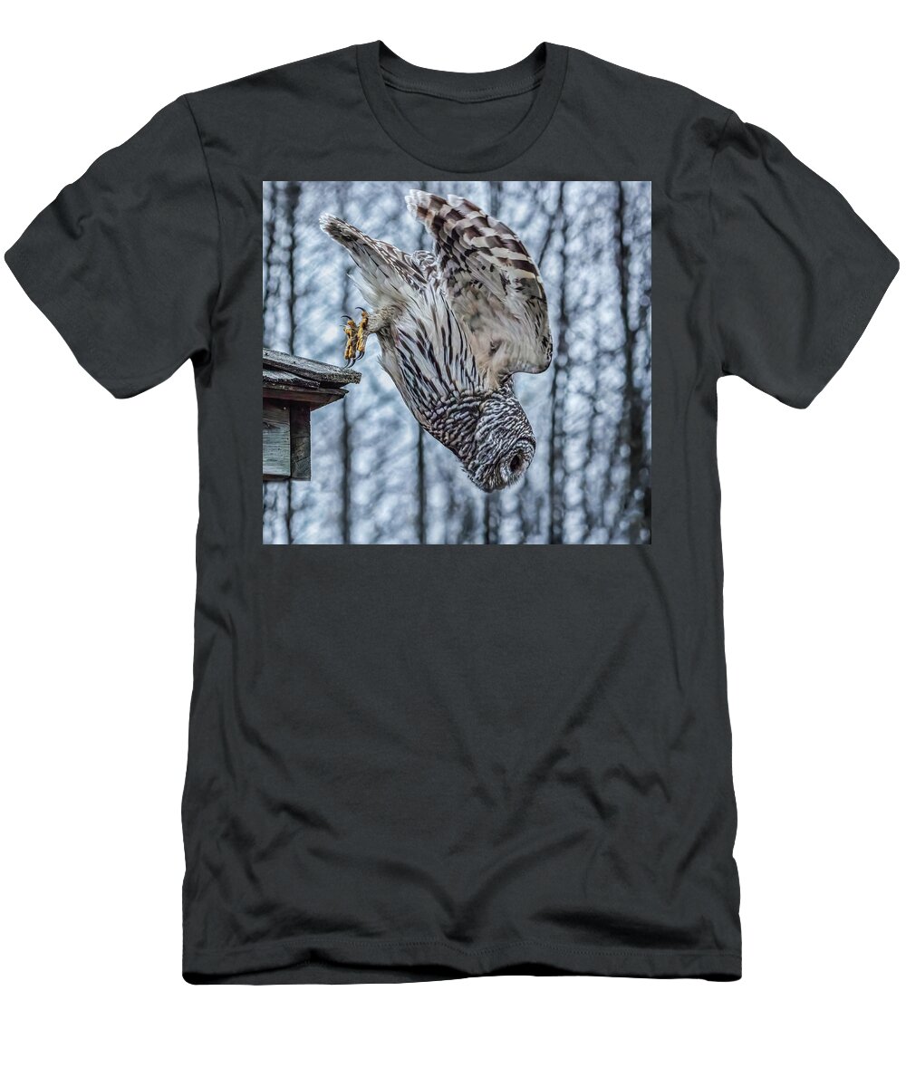 Barred Owl T-Shirt featuring the photograph Dive by Brad Bellisle