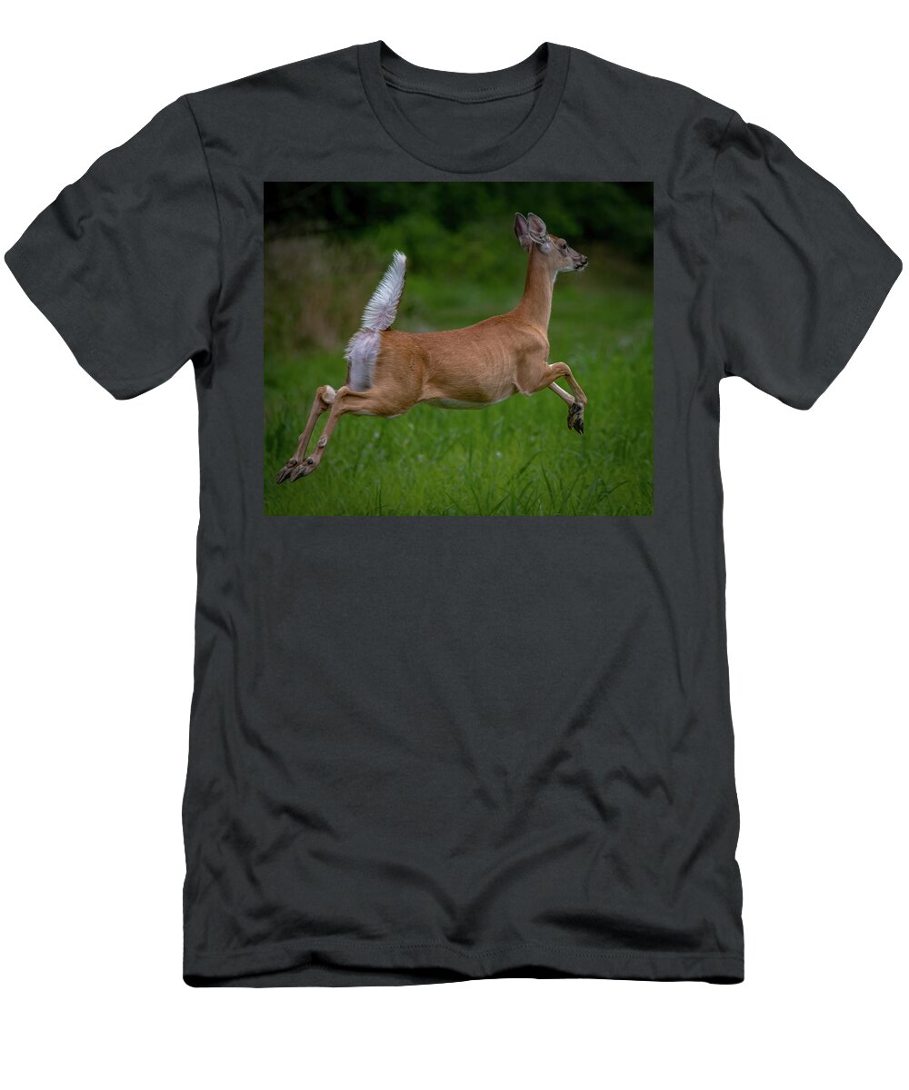 Animals T-Shirt featuring the photograph Doe a deer... by Brian Shoemaker