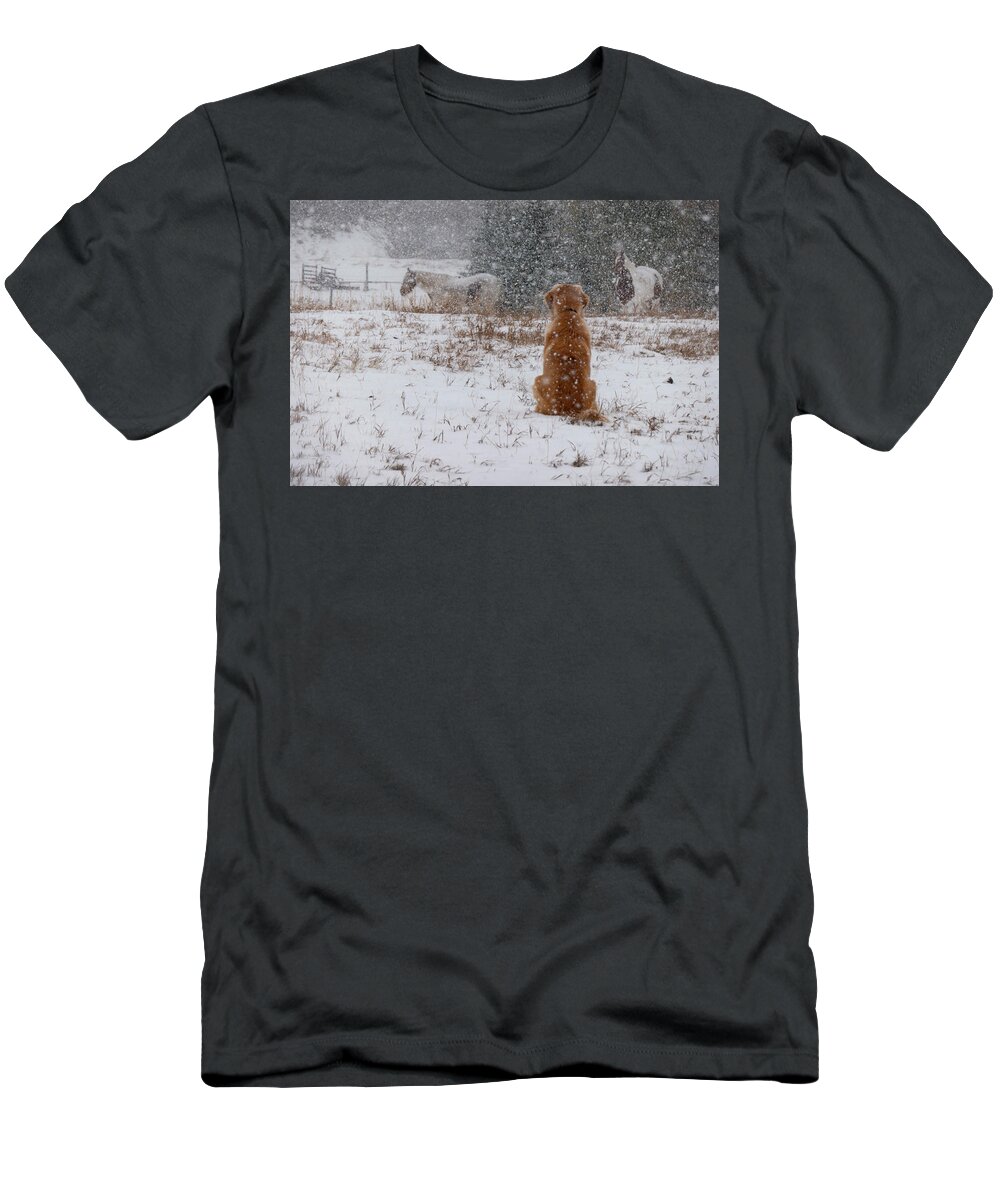 Snow T-Shirt featuring the photograph Dog And Horses In The Snow by Karen Rispin