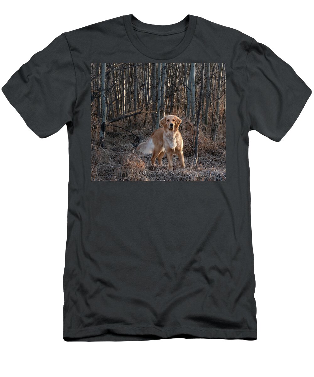 Dog T-Shirt featuring the photograph Dog In The Woods by Karen Rispin