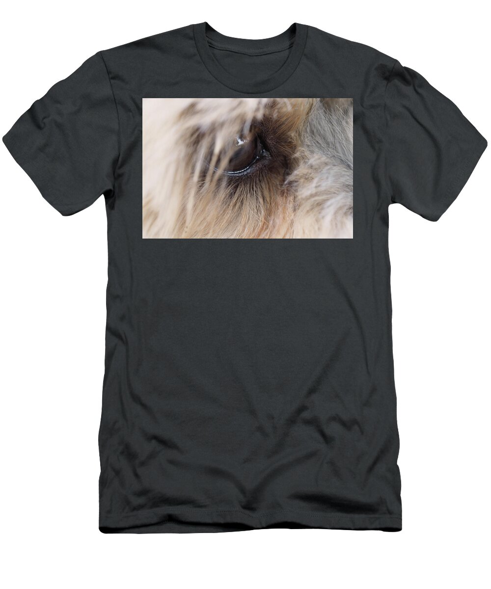 Dog T-Shirt featuring the painting Dog's eye by Sv Bell