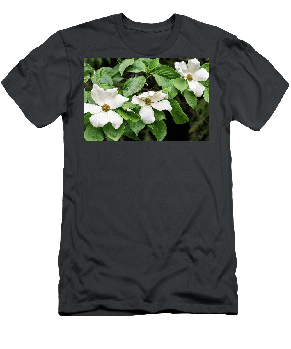 Flowers T-Shirt featuring the photograph Dogwood Blossoms by Claude Dalley