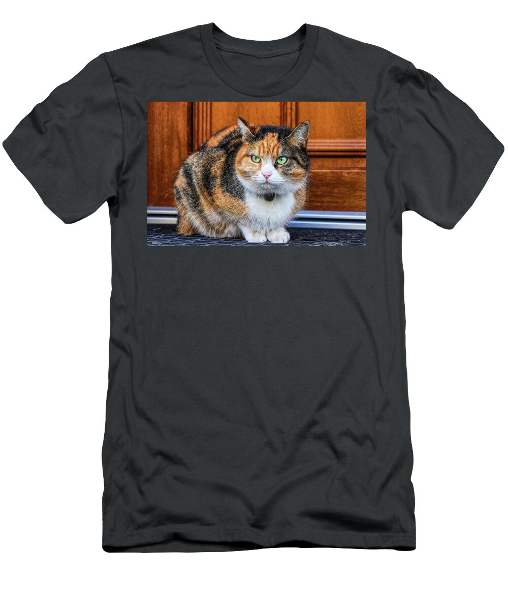 Liza T-Shirt featuring the photograph Domestic angry cat sitting in front of entry door. Kitten is pissed off. Colourful Felis catus waiting on open door. Angry cat face. Green eye. Cat has small bell around neck by Vaclav Sonnek