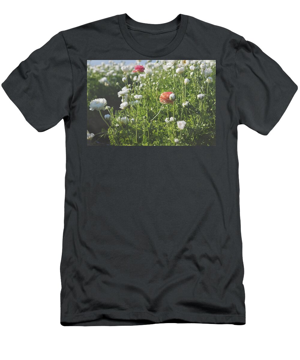 Carlsbad Flower Fields T-Shirt featuring the photograph Don't Be Afraid to Stand Out by Laurie Search