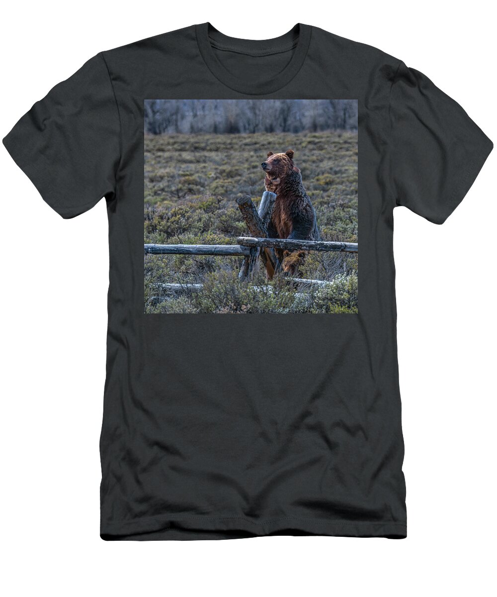 Grizzly T-Shirt featuring the photograph Don't Fence Me In by Yeates Photography