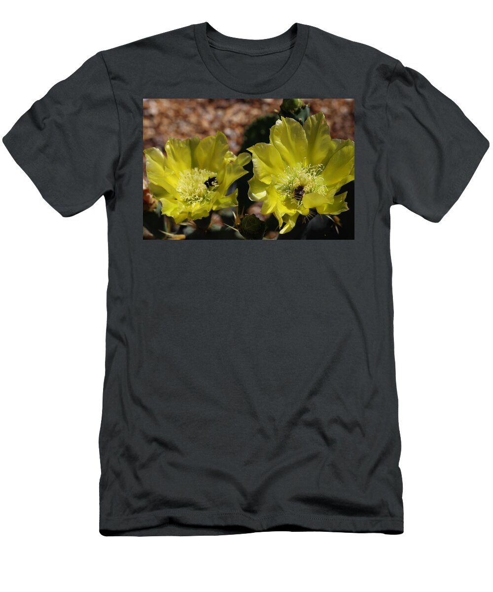 Cactus T-Shirt featuring the photograph Double Cactus Flowers 2 by Mingming Jiang