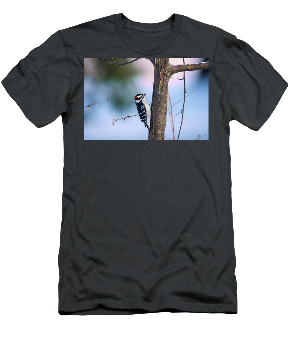 Downy Woodpecker T-Shirt featuring the photograph Downy Woodpecker by Kristin Hatt