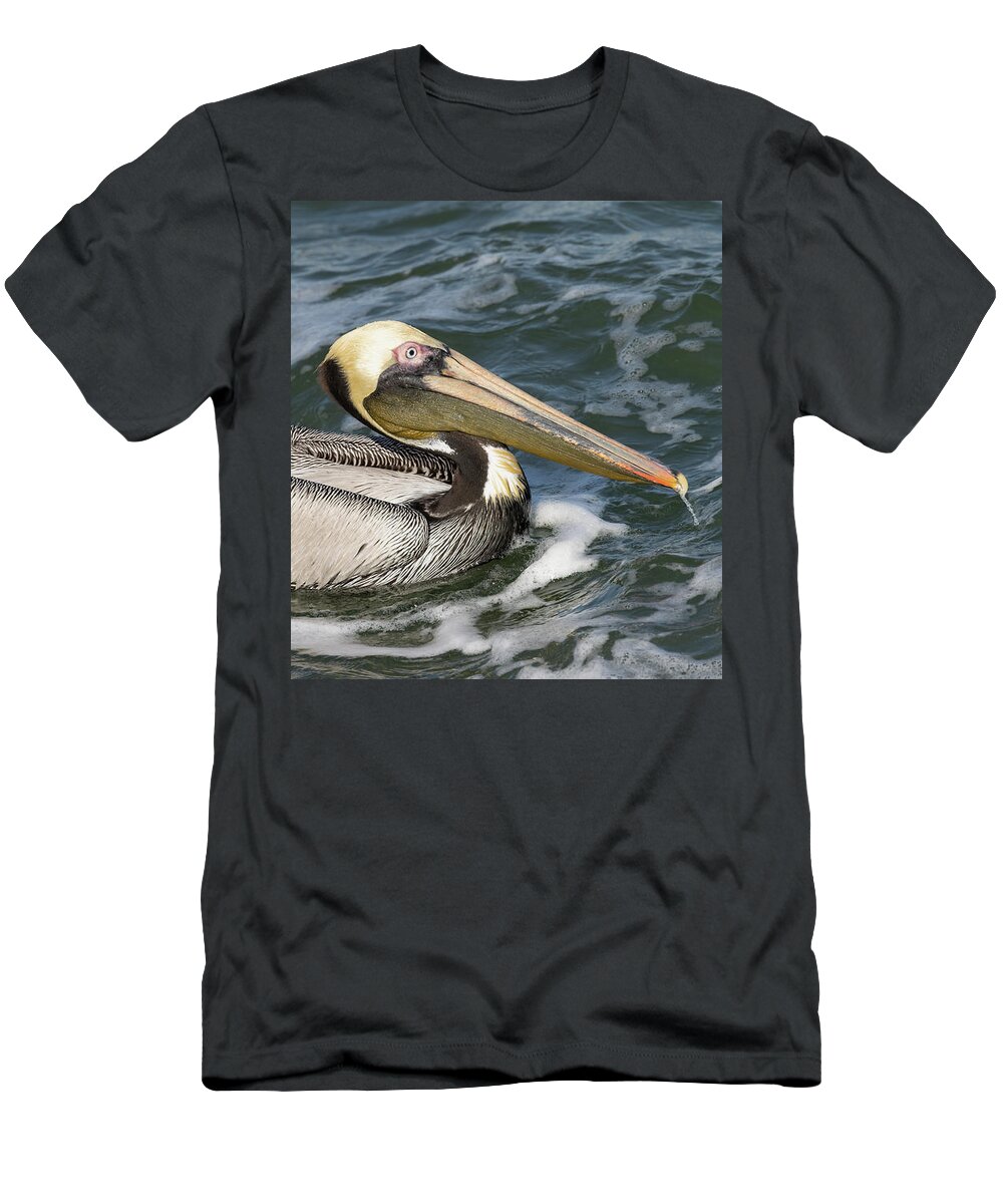 Birds T-Shirt featuring the photograph Drooling Brown Pelican by RD Allen