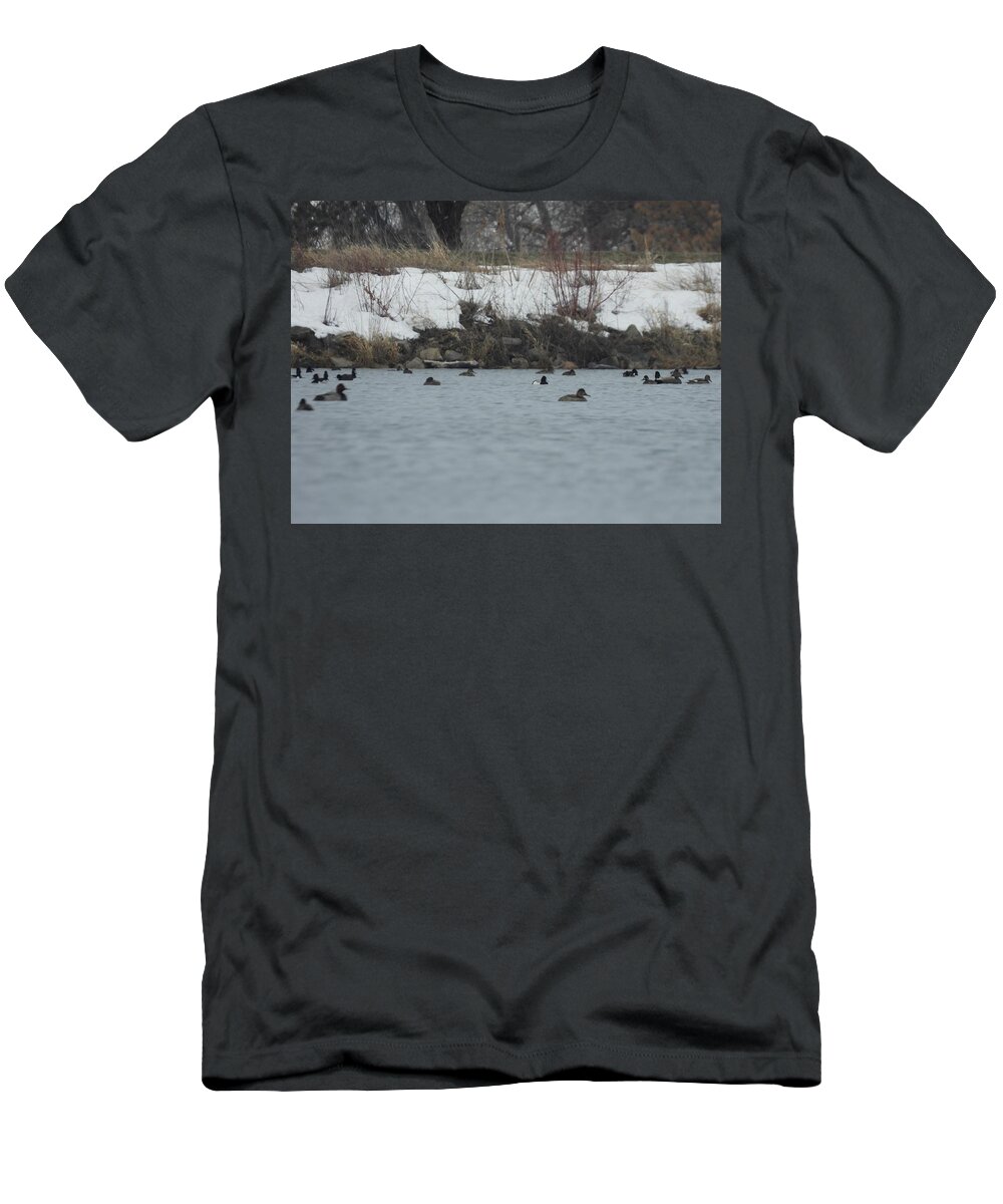 Spring T-Shirt featuring the photograph Ducks On The Water by Amanda R Wright