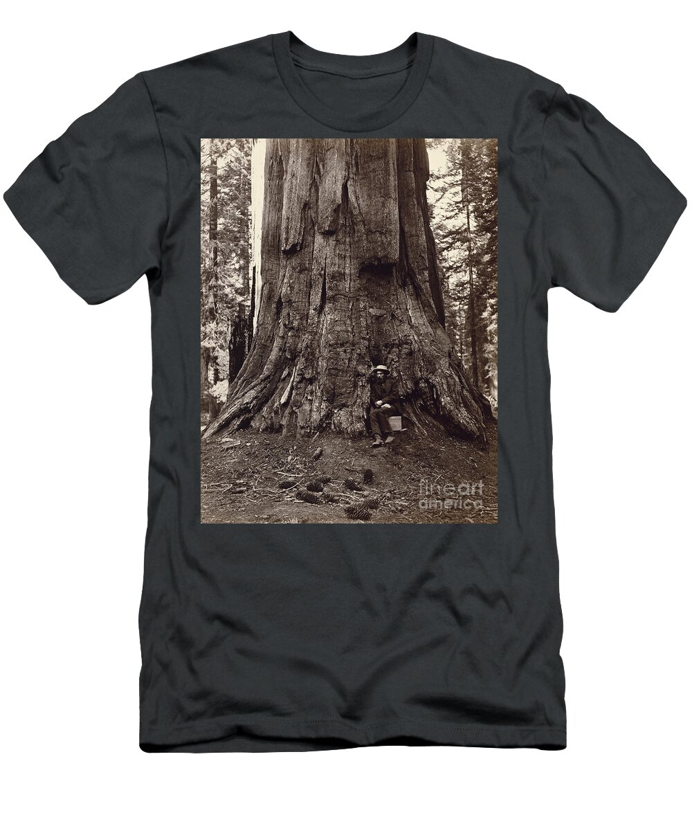 19th T-Shirt featuring the photograph Eadweard Muybridge and General Grant Tree, c. 1864 by Getty Research Institute