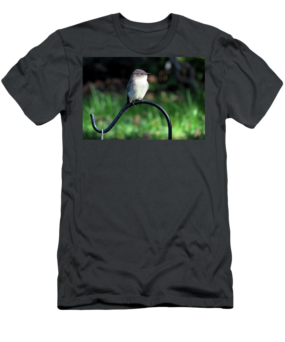 Birds T-Shirt featuring the photograph Eastern Phoebe by Linda Stern