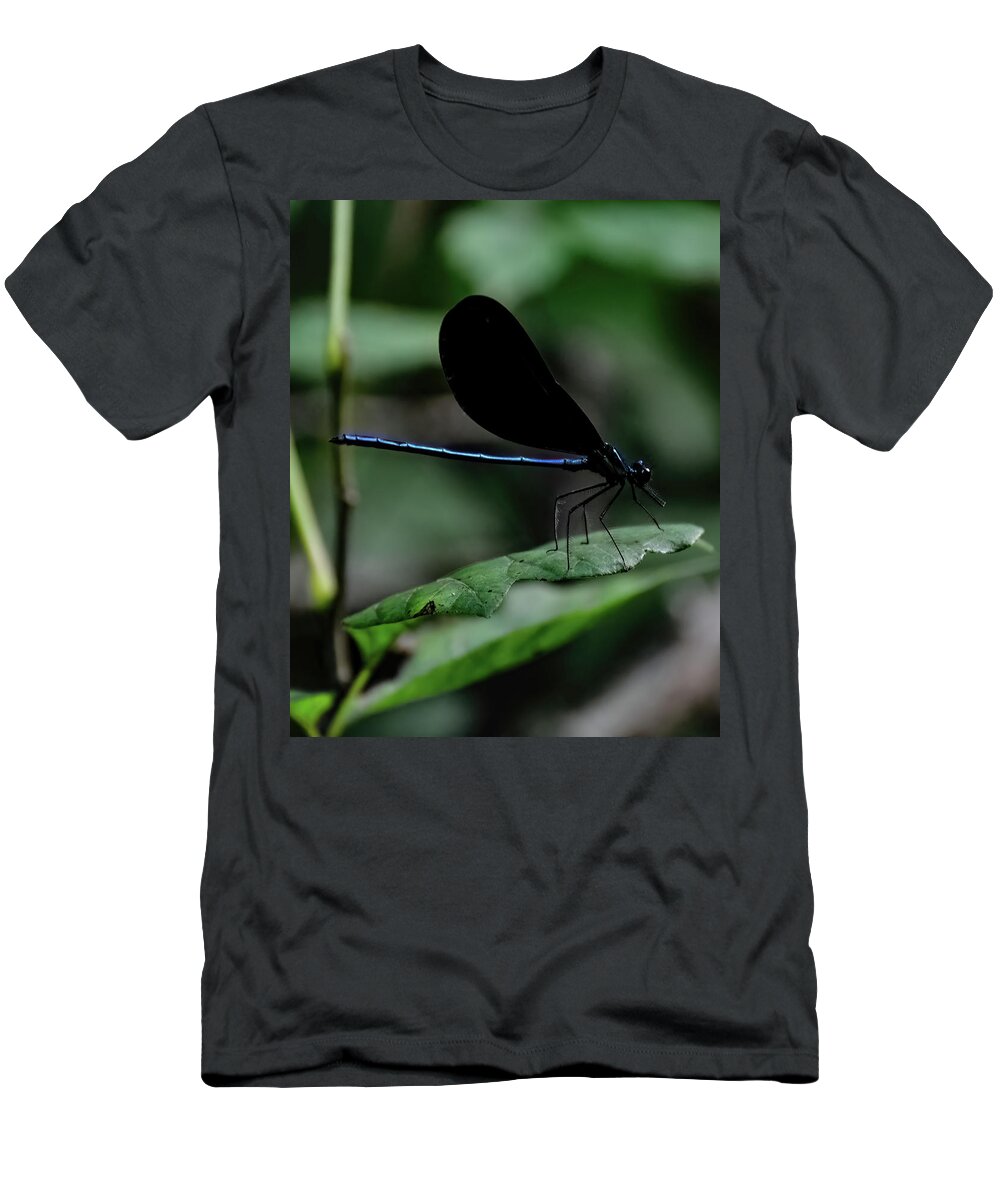 Ebony Jewelwing T-Shirt featuring the photograph Ebony Jewelwing by Flees Photos