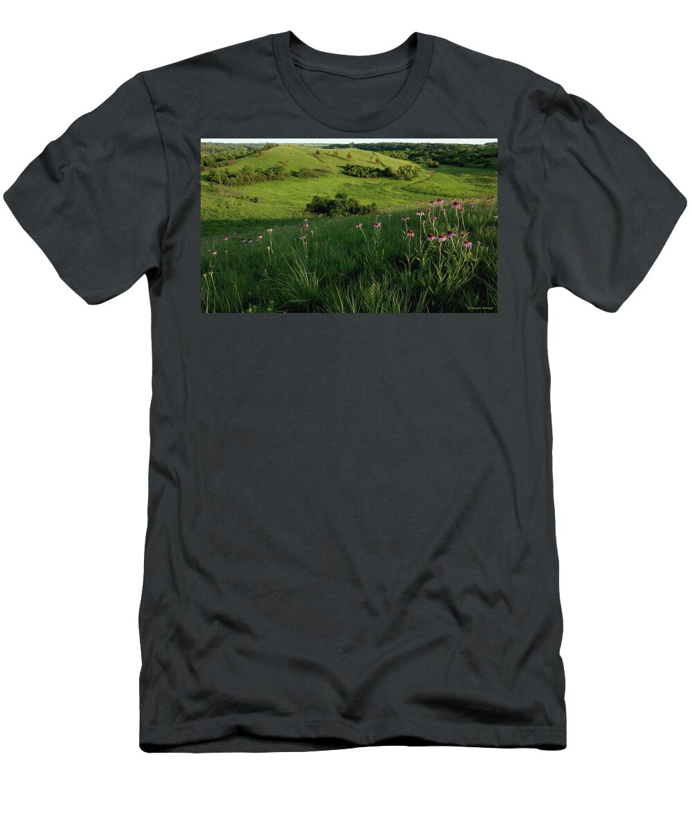 Purple Coneflowers T-Shirt featuring the photograph Echinacea Slope by Bruce Morrison