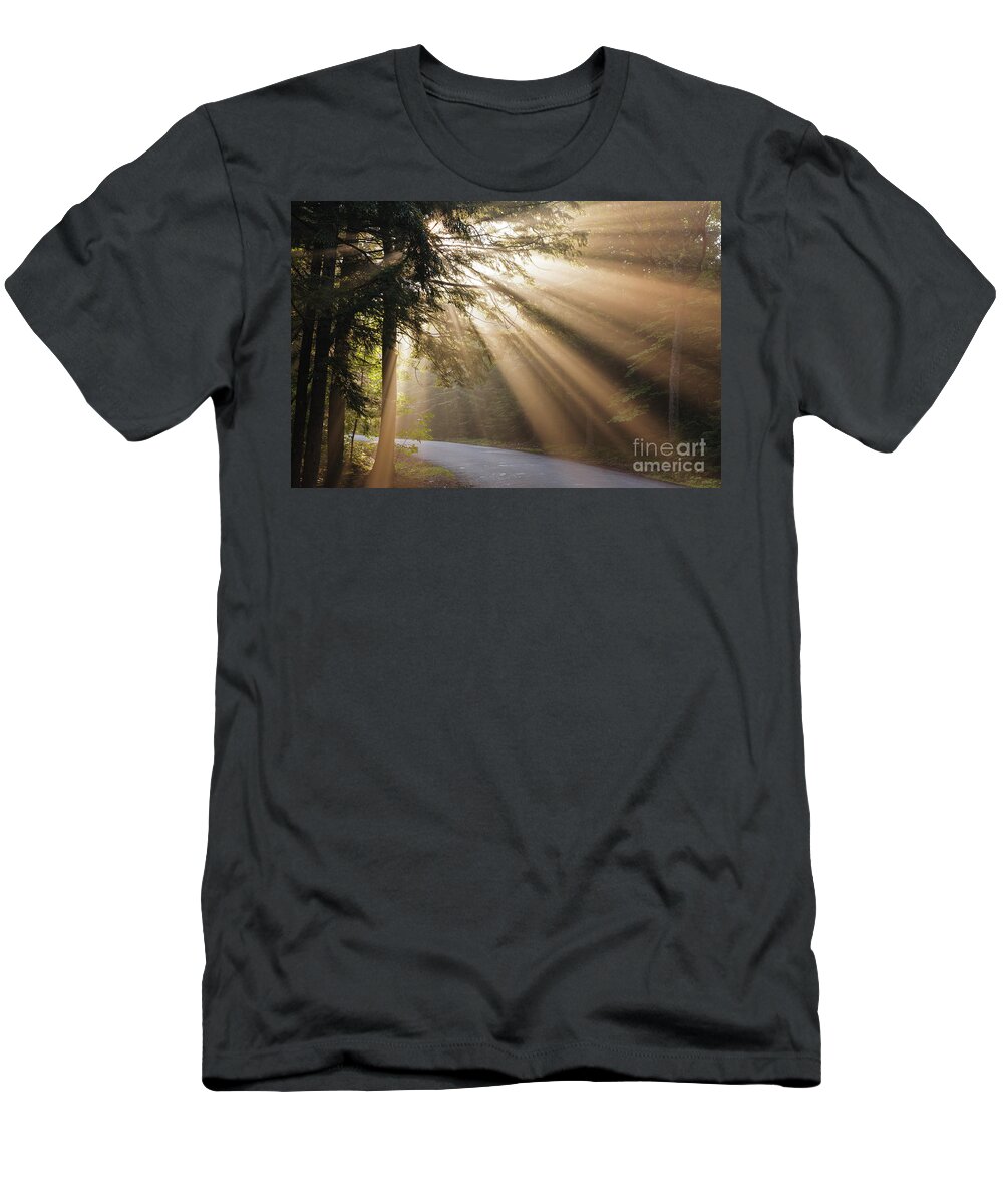 Auto Road T-Shirt featuring the photograph Echo Lake / Cathedral Ledge State Park - Bartlett, New Hampshire by Erin Paul Donovan