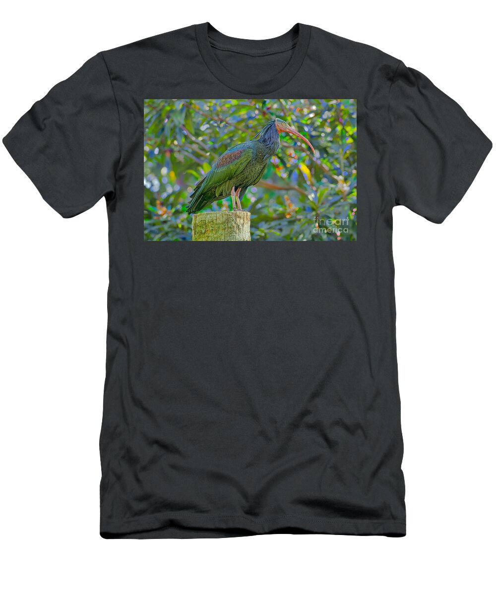Asian Crested Ibis T-Shirt featuring the photograph Eclectric by Judy Kay