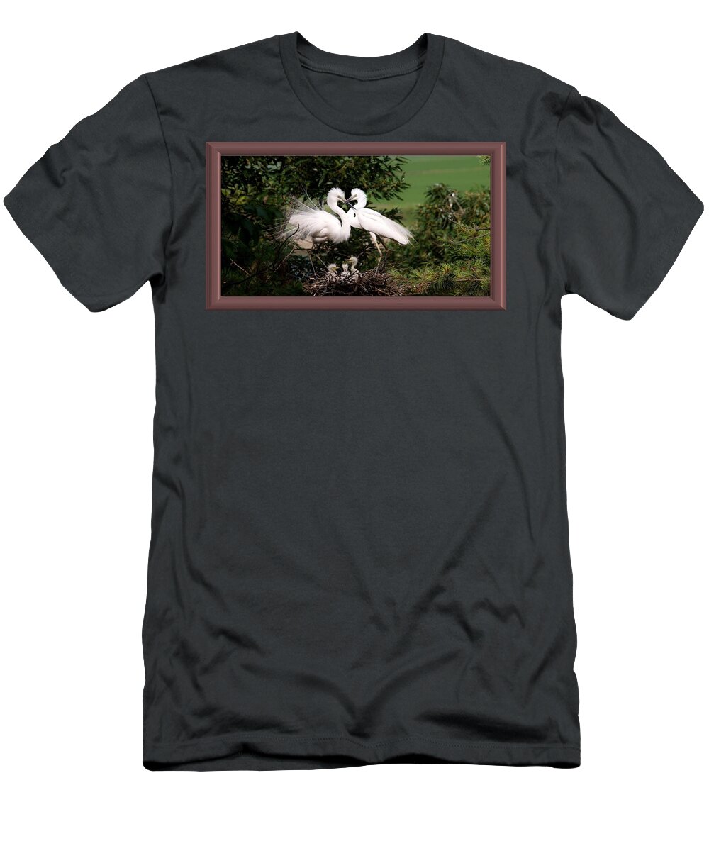 Egret T-Shirt featuring the photograph Egret Family by Nancy Ayanna Wyatt