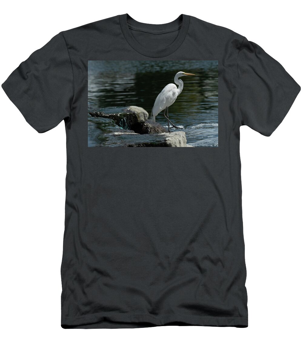 Egret T-Shirt featuring the photograph Egret Stepping Out by Bonnie Colgan