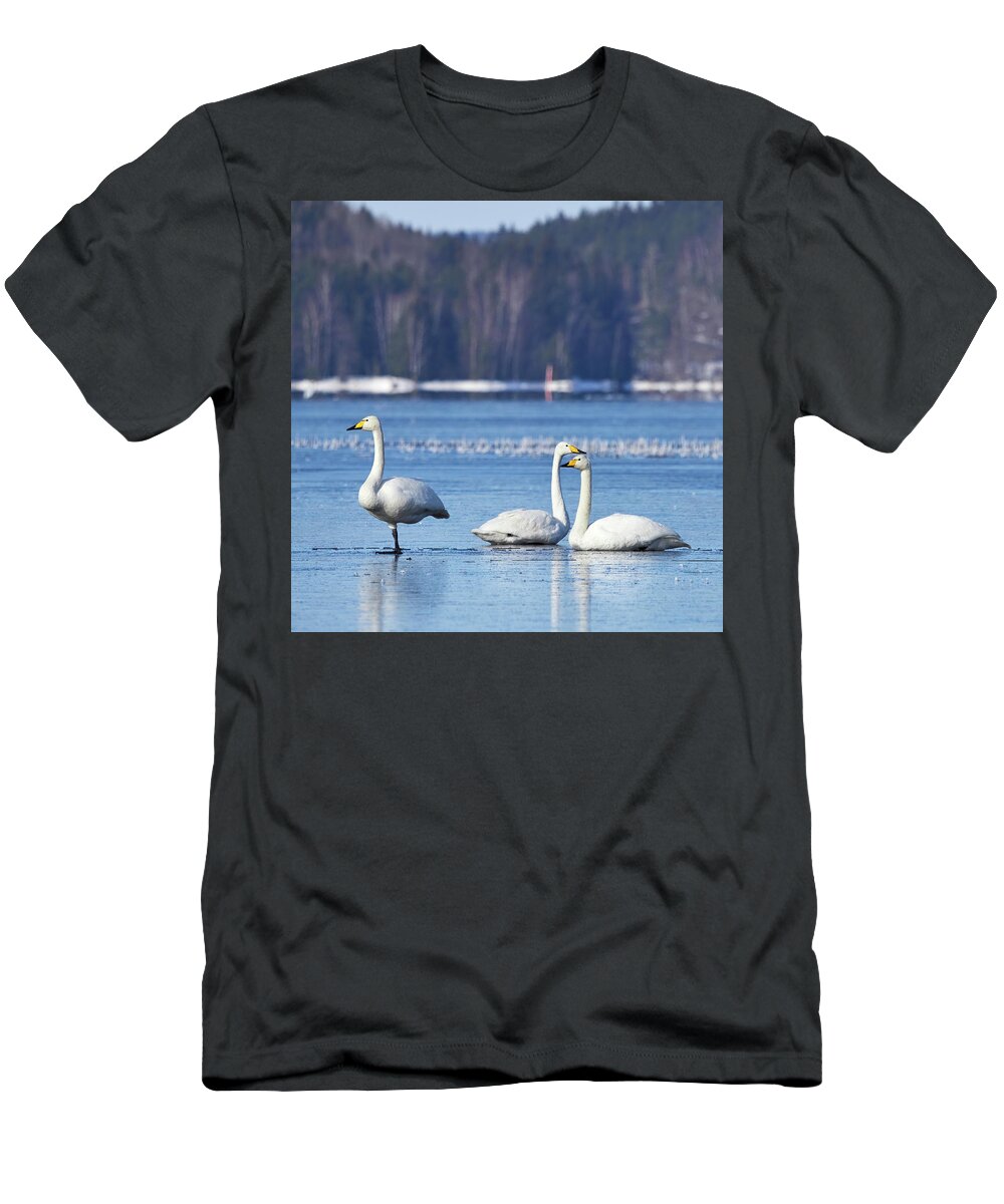 Finland T-Shirt featuring the photograph Egyptian style. Whooper Swan by Jouko Lehto