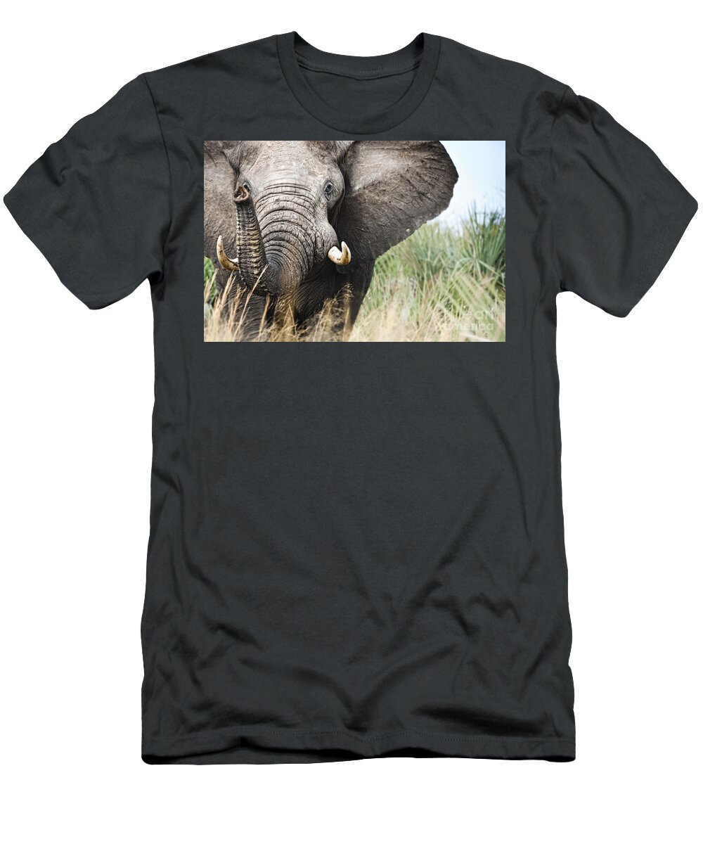 Arfrica T-Shirt featuring the photograph Elephant by Andrew Stewart - eStock Photo