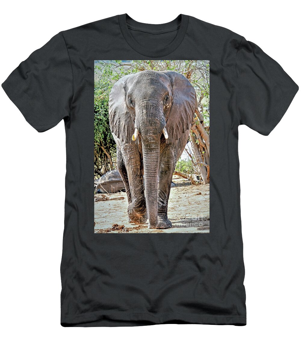 Wildlife T-Shirt featuring the photograph Elephant Approaches by Tom Watkins PVminer pixs
