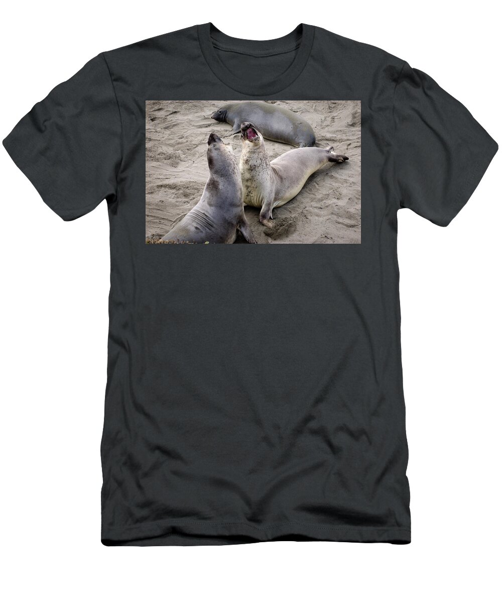 Wildlife T-Shirt featuring the photograph Elephant Seals Highway 1 California Coast by Mary Lee Dereske