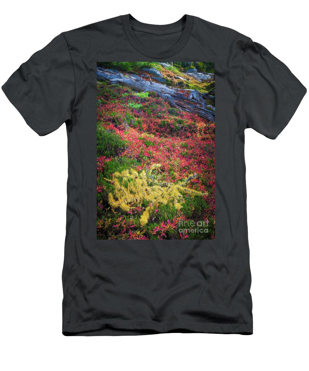 Alpine Lakes Wilderness T-Shirt featuring the photograph Enchanted colors by Inge Johnsson