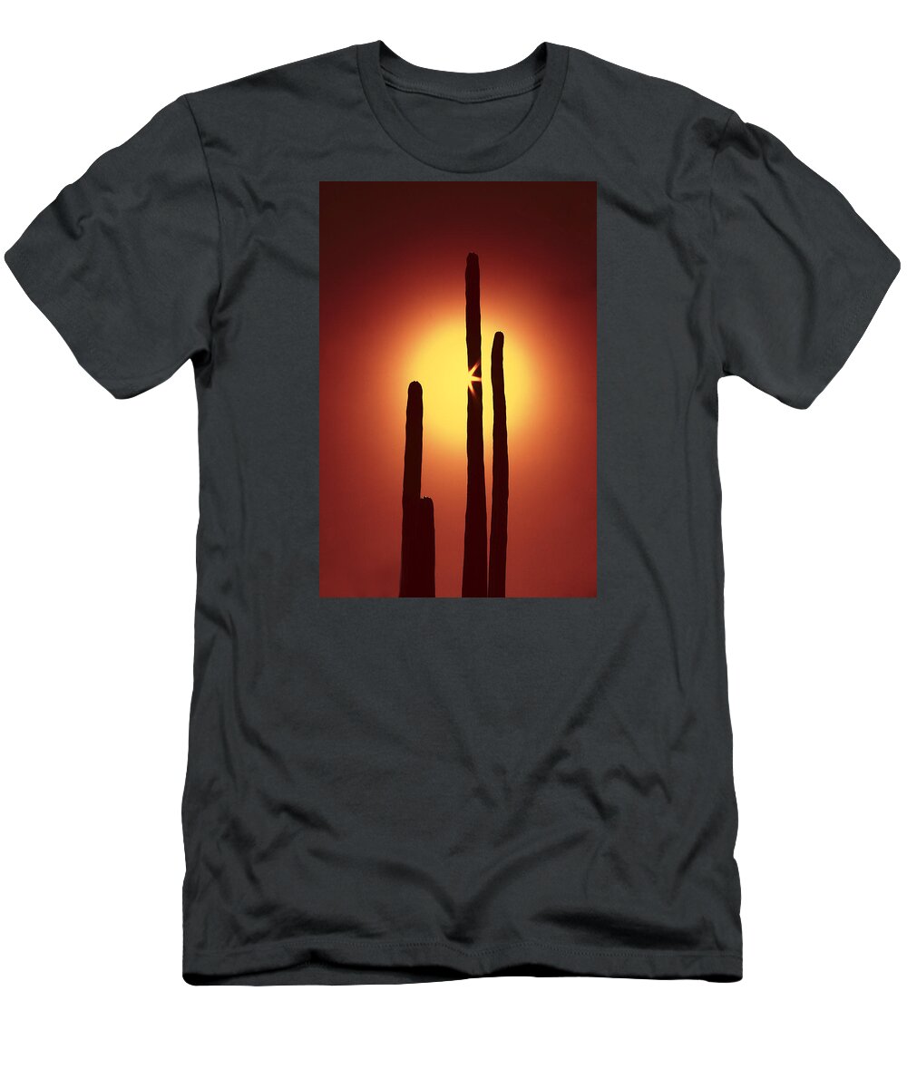 Sun T-Shirt featuring the photograph Encinitas Cactus by Andre Aleksis