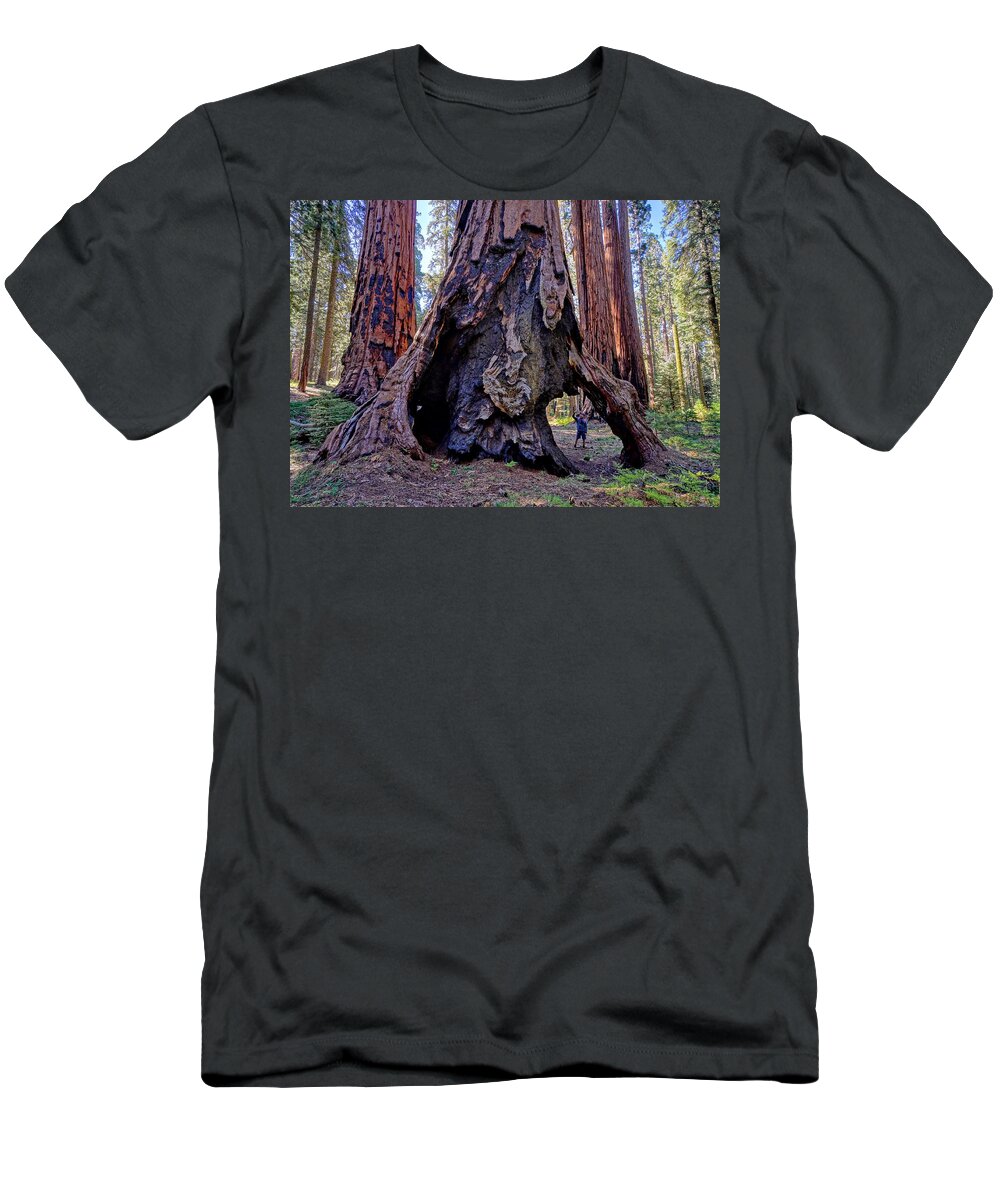 Giant Sequoia Tree T-Shirt featuring the photograph Encounter by Brett Harvey