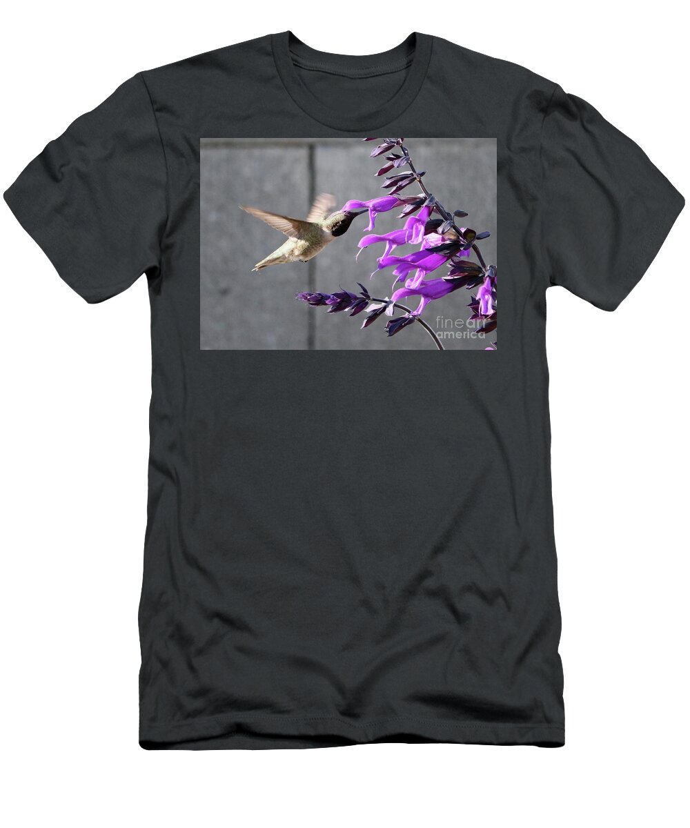 Enticing T-Shirt featuring the photograph Enticing Purple Salvia with Hummingbird by Carol Groenen