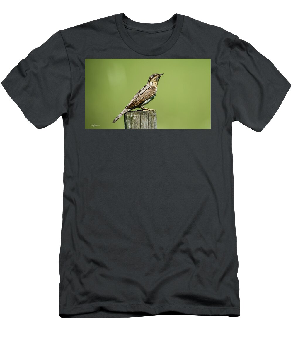 Wryneck T-Shirt featuring the photograph Eurasian Wryneck, the ant hunter by Torbjorn Swenelius