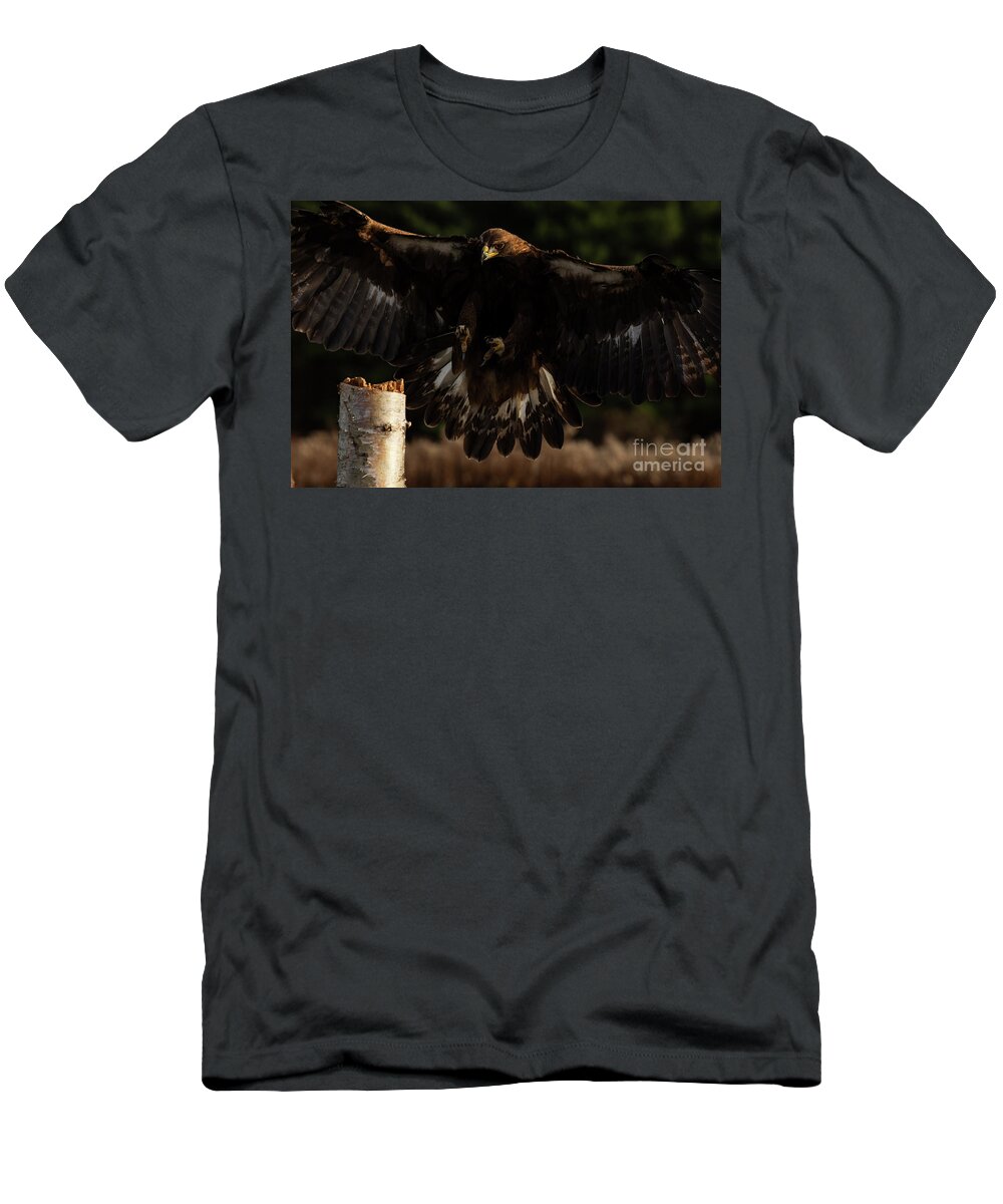 Landing T-Shirt featuring the photograph European Golden Eagle landing on perch by JT Lewis